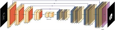 Automatic Segmentation and Cardiac Mechanics Analysis of Evolving Zebrafish Using Deep Learning